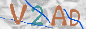 この文字を入力してください