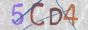 この文字を入力してください