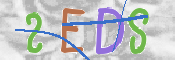 この文字を入力してください