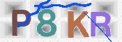 この文字を入力してください