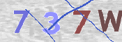 この文字を入力してください