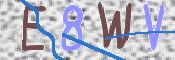 この文字を入力してください