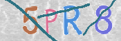 この文字を入力してください