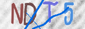 この文字を入力してください