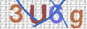 この文字を入力してください