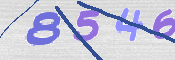 この文字を入力してください