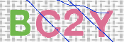 この文字を入力してください