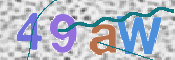 この文字を入力してください
