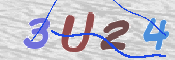 この文字を入力してください