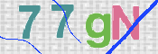 この文字を入力してください