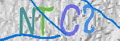 この文字を入力してください