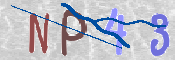 この文字を入力してください