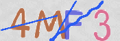 この文字を入力してください