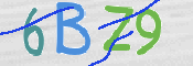 この文字を入力してください
