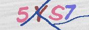 この文字を入力してください