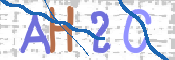 この文字を入力してください