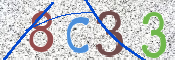 この文字を入力してください