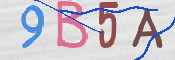 この文字を入力してください