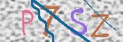この文字を入力してください
