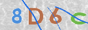 この文字を入力してください