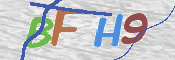 この文字を入力してください