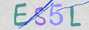 この文字を入力してください