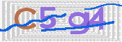 この文字を入力してください