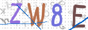 この文字を入力してください