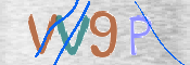 この文字を入力してください