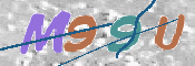 この文字を入力してください