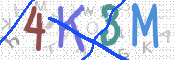 この文字を入力してください
