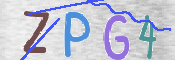 この文字を入力してください