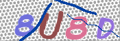 この文字を入力してください