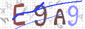 この文字を入力してください