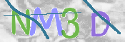 この文字を入力してください