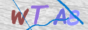 この文字を入力してください