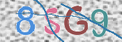 この文字を入力してください