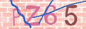 この文字を入力してください