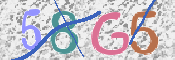 この文字を入力してください