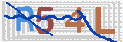 この文字を入力してください