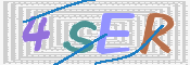 この文字を入力してください