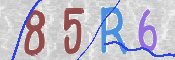 この文字を入力してください