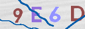 この文字を入力してください