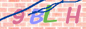 この文字を入力してください