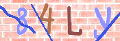 この文字を入力してください