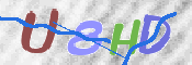 この文字を入力してください