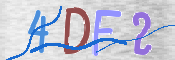 この文字を入力してください