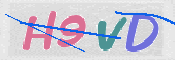 この文字を入力してください