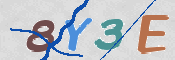この文字を入力してください