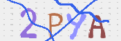この文字を入力してください